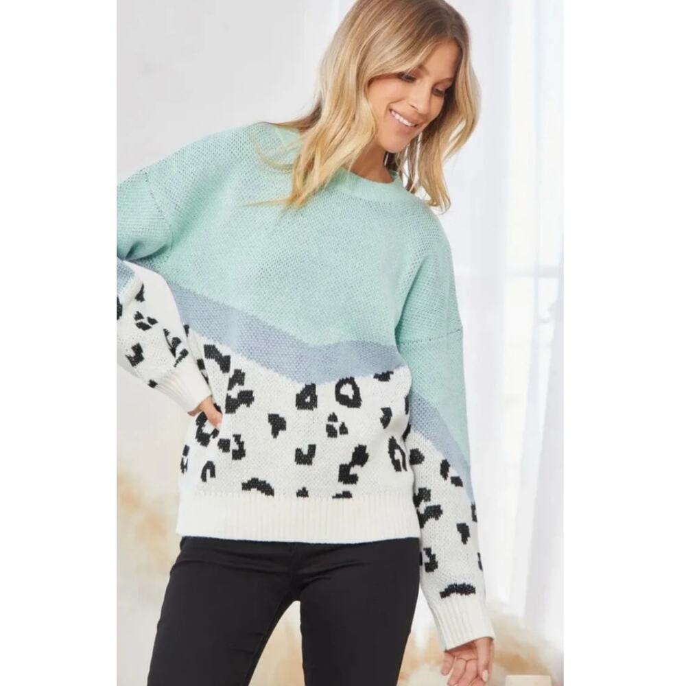 Andree by Unit‎ Mint Leopard Colorblock Sweater Size M Coquette Cozy Soft